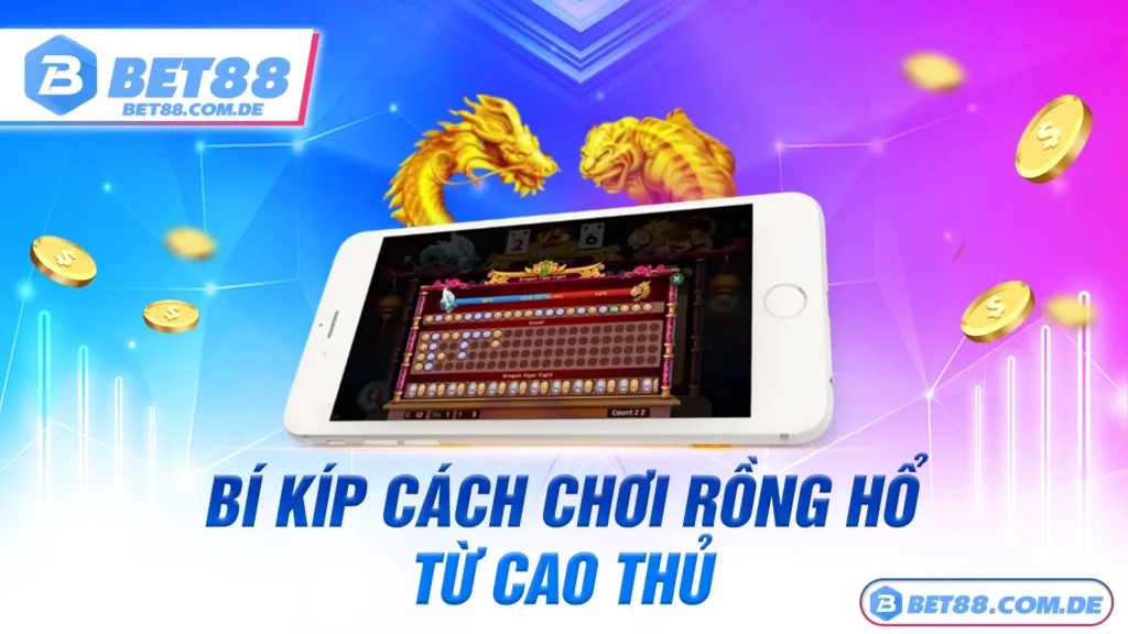 chơi rồng hổ 02