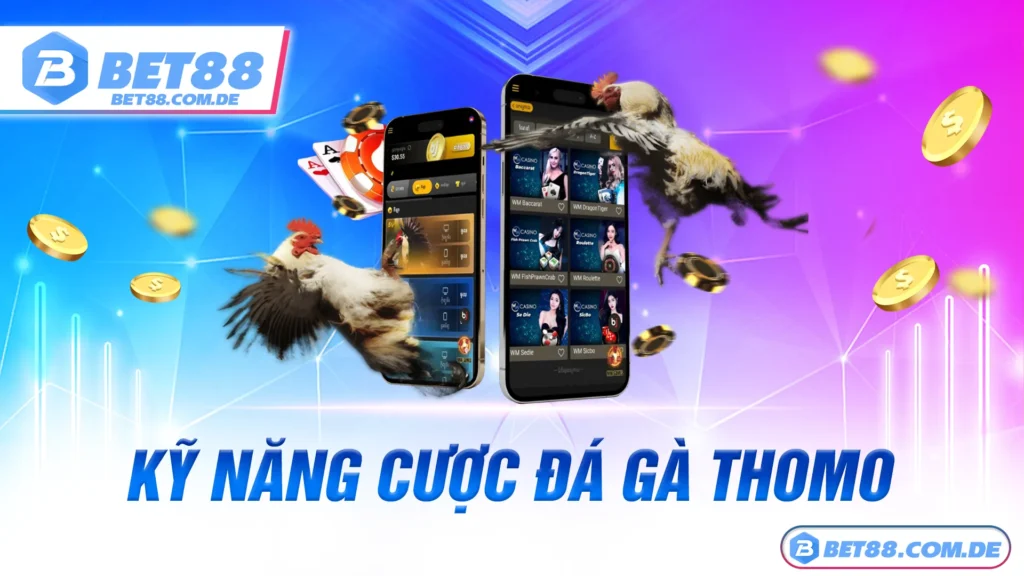 Đá gà thomo 02