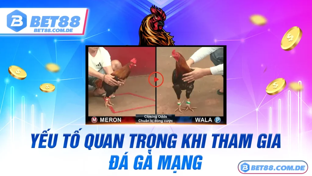 Đá gà mạng 01